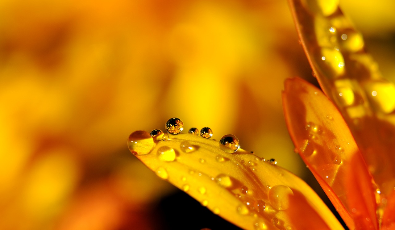 drip-1972411_1280